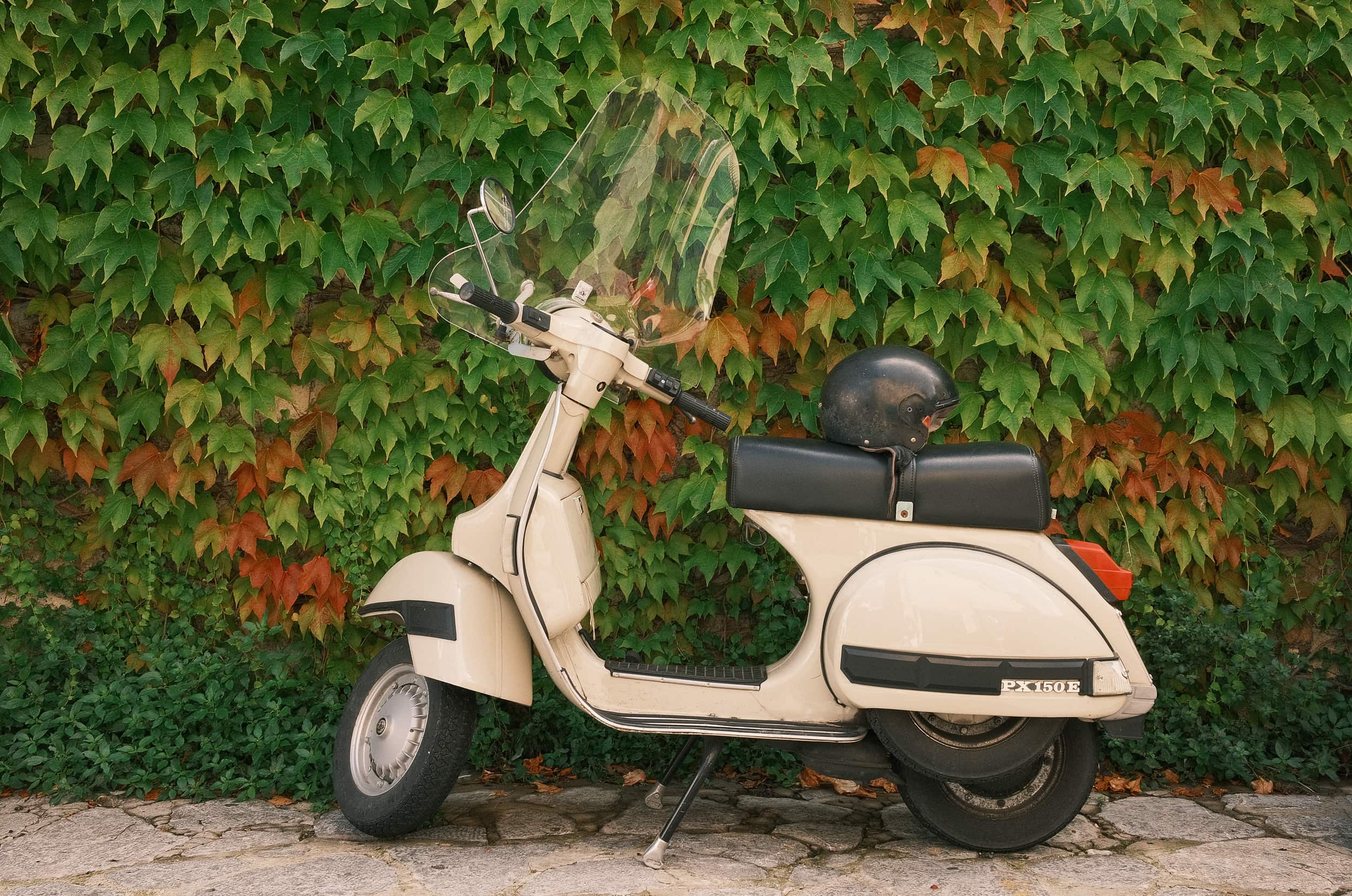 Cream coloured moped set against green and red leaf creeper