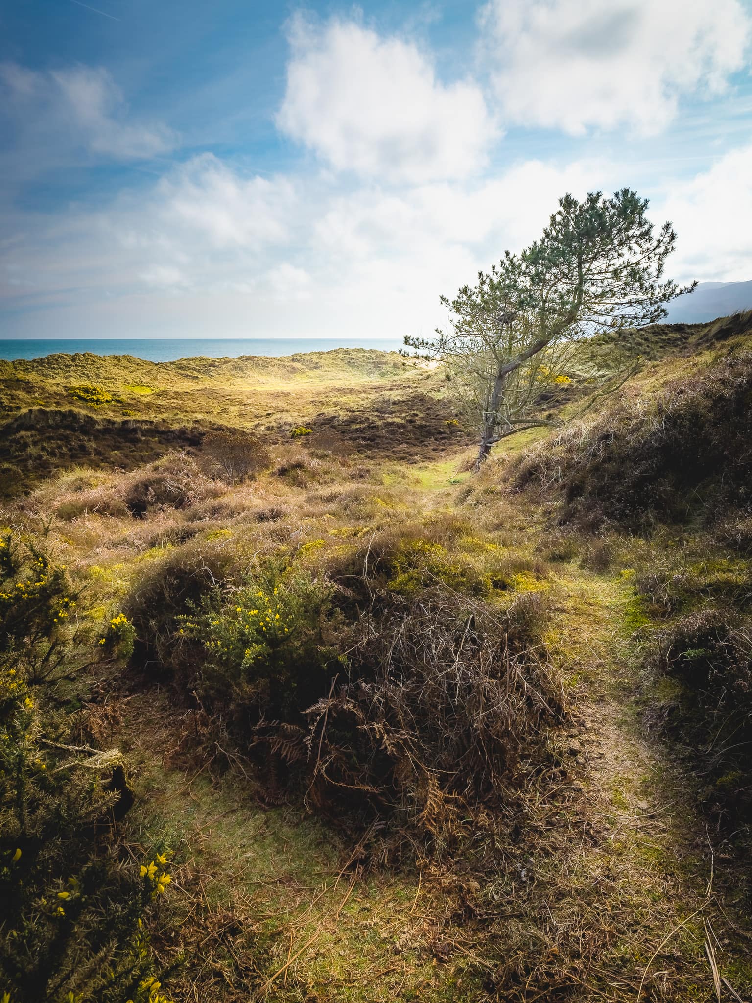 Photowalk from Dundrum to Murlough Nature Reserve