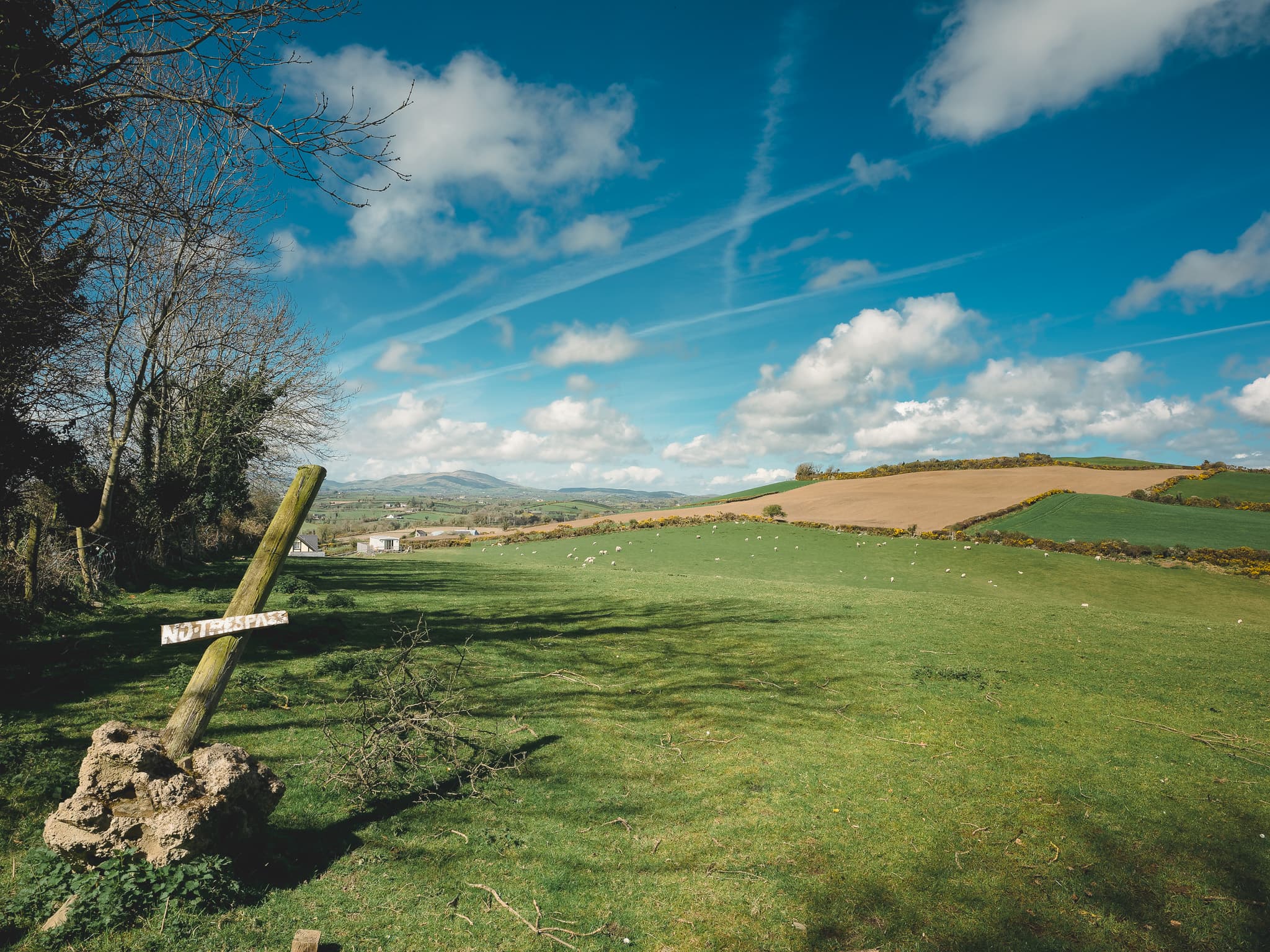 Photowalk from Dundrum to Murlough Nature Reserve