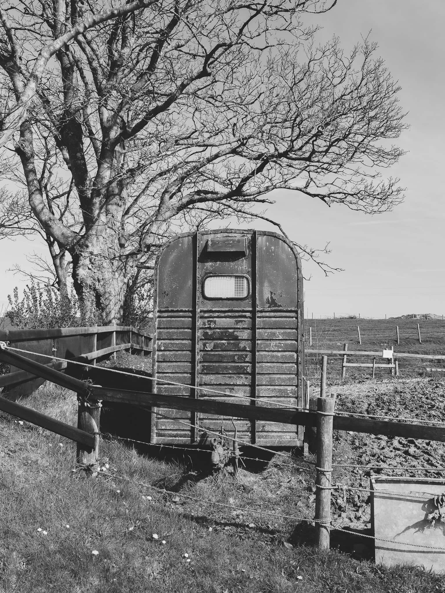 Photowalk from Dundrum to Murlough Nature Reserve