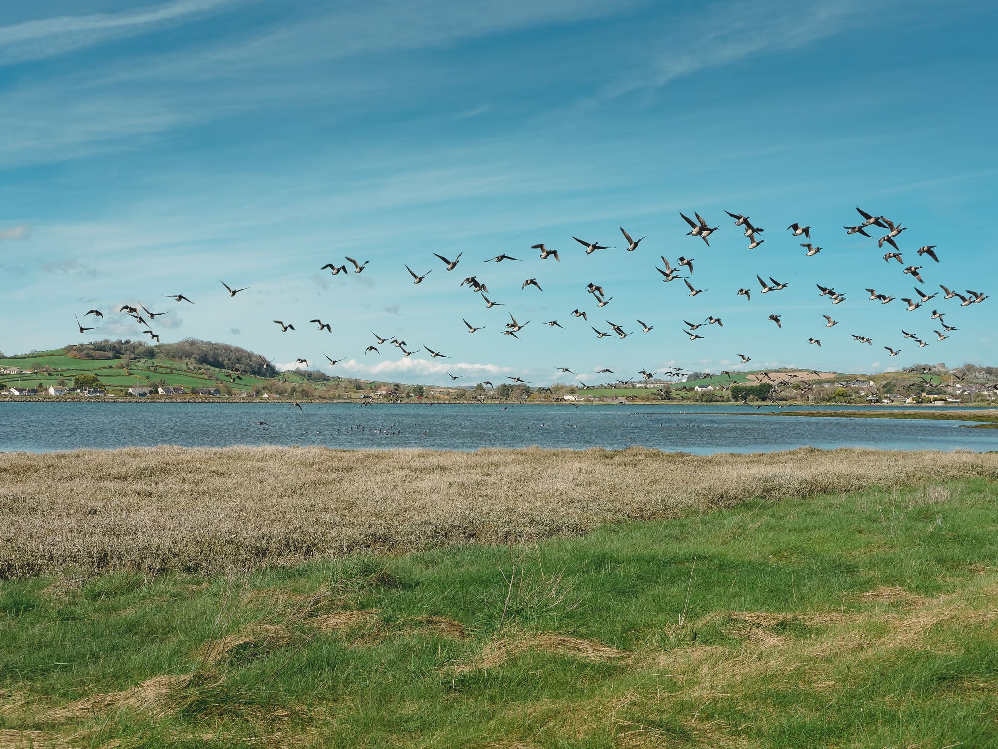 Photowalk from Dundrum to Murlough Nature Reserve